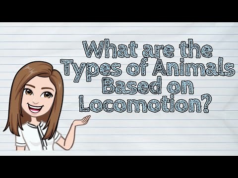 (SCIENCE) What are the Types of Animals Based on Locomotion? | #iQuestionPH