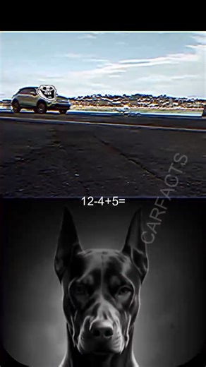 Trolls_me on Instagram: "@trolls_mee link in bio 😜"