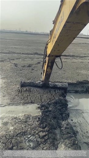 An excavator is clearing the silt from the pond.
