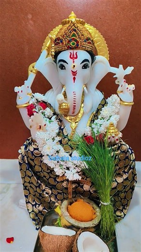 பெருமை வாய்ந்த பிள்ளையார் #devotional #god #lordganesha #pillaiyar #vinayagar