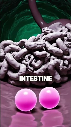 What ACTUALLY Happens When You Swallow Gum (12-Year-Old Nearly Died)