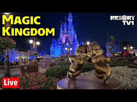 🔴Friday Night Live: Celebrating at Magic Kingdom - Walt Disney World Live Stream