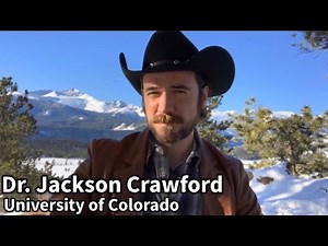 Hávamál and ‘Nine Virtues’