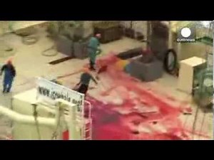 Exposed: Japan kills whales inside sanctuary - Sea Shepherd video