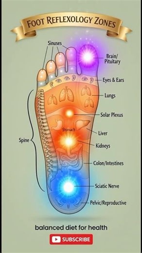 Foot Reflexology Chart: Zones Map for Organs & Benefits Explained!