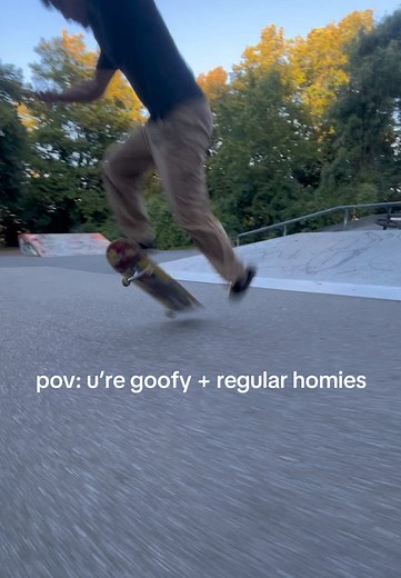 coolest shit ever while cruising @yuribrs #goofy #bro #skater #skateboarders #treflip