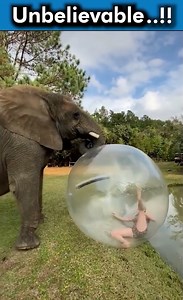 Unbelievable !! | Corporate Bytes