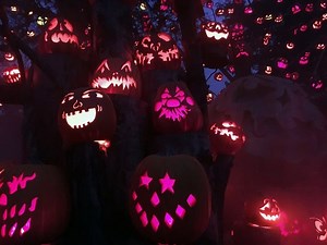 Halloween In Lisle 2021: Trick-Or-Treat Times, Downtown Fun, More