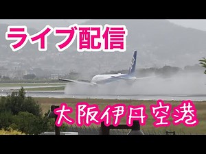 大阪伊丹空港 ライブカメラ 2021/8/21 飛行機 Live Camera of Airport in JAPAN