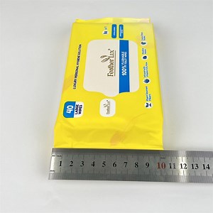 [Hot Item] Eco-Friendly Flushable Wet Toilet Wipes for Safe Disposal