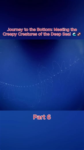 Dive into the 99% unexplored ocean to meet alien like creatures and witness the incredible adaptations of the deep! #DeepSea #OceanExploration #MarineLife #NatureDocumentary #UnknownWorld