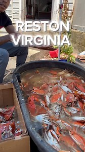1.1K views · 80 reactions | RESTON VIRGINIA CRAB BOSS IS COMING TO...