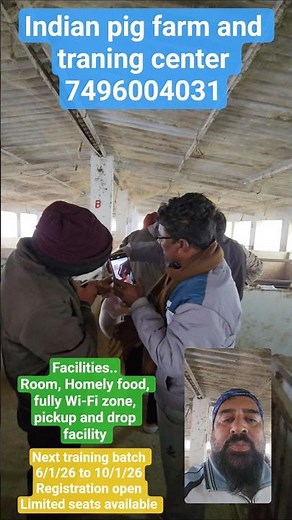 how to start pig farming #pigging #pigbreeding #pig #meatmarket #pigfarming #healthypigs #pigfarmers