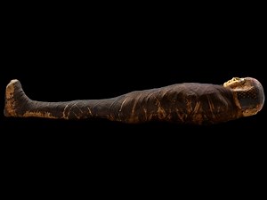 Every Mummy Tells a Story