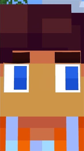 Il Croit Vraiment Pouvoir Se Lancé Dans L'animation 👀 #minecraft #animation