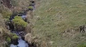 2.3K views · 71 reactions | PRAYERS AND READINGS FROM IONA FOR HOLY WEEK: GOOD FRIDAY As we start today - and our remembering of the Passion and death of Jesus, our Shop Manager Lyn Meier reads Jan Sutch Pickard's prayer 'Weeping Gd' from near the statue of the Fallen Christ | The Iona Community | Facebook