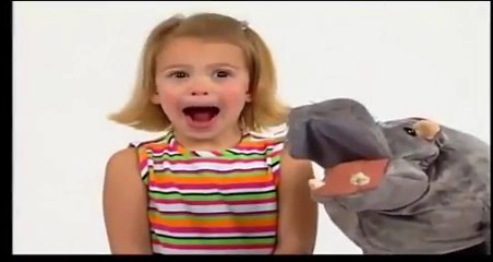 Baby Einstein Baby Noah Animal Expedition