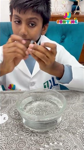 How to Make Your Own Compass | DIY Magnetism Experiment 🧭✨