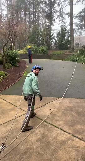 #treework #chainsawman #skilledtrades #arborist #chainsaws #workhard #pnw #trees #greatoutdoors #treeservice #letsgoooooooooo #rigging