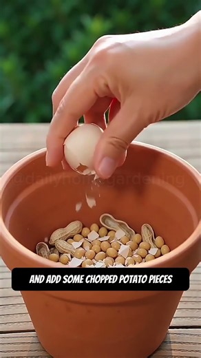 🌸 Sandy Soil Flower Hack: Try This Natural Soil Boost!