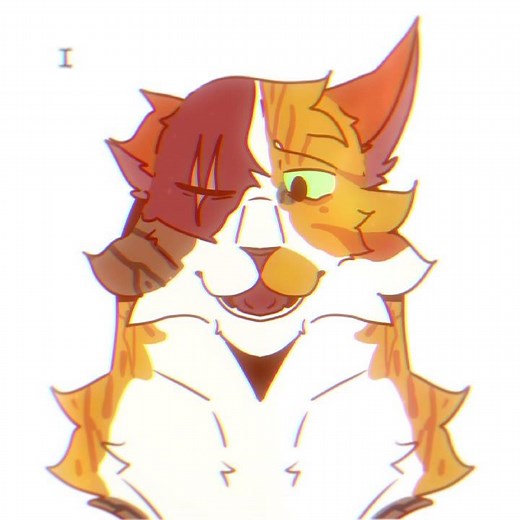 Do you believe in love at first sight? | Warrior cats Animation