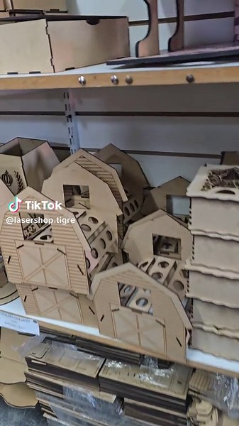 Lasershop Tigre on TikTok