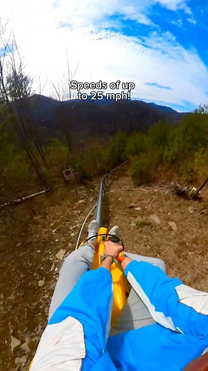 America’s FIRST single rail mountain coaster! 🤯 Would you try this? Anakeesta #coaster #thrilling #travel #mountiancoaster #thrill | Alex Ojeda
