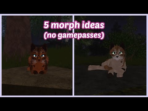 roblox warrior cats ultimate edition: 5 morph ideas (no gamepasses)