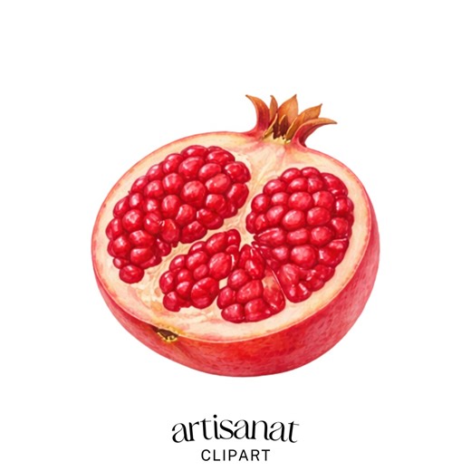 Fruit Clipart Set, 20 Watercolor Fruit Illustrations PNG, Tropical Fruits Berries Citrus Food Clipart - Etsy