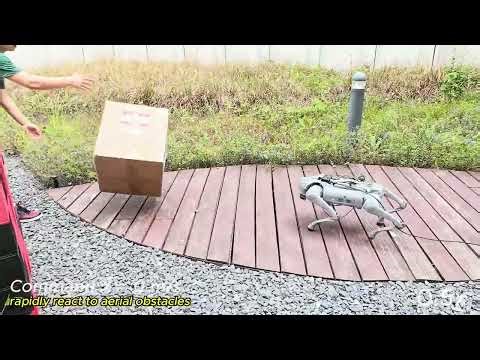 Omni-Perception: Omnidirectional CollisionAvoidance for Legged Locomotion in DynamicEnvironments