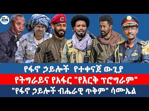 የፋኖ ኃይሎች የተቀናጀ ውጊያ/የትግራይና የአፋር "የእርቅ ፕሮግራም"/"የፋኖ ኃይሎች ብሔራዊ ጥቅም" ሳሙኤል