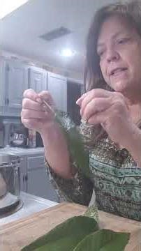 how to make Loquat tea