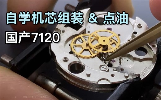 自己动手组装机芯，国产7120统机 #自学修表