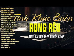 20 Bài Nhạc Xưa Bất Hủ Tuyển Chọn Hiếm Có Vô Cùng | Dòng Nhạc Tình Ca Hải Ngoại Vượt Thời Gian