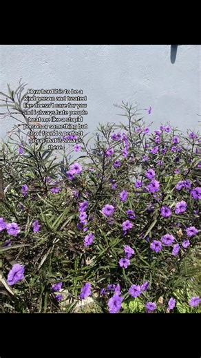 Thank you guysss@jam jam _@234 @☆ @Gabriell @M I M I specially @>.Just_zophie.?