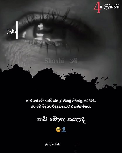 තව මොන කතාද...🥺👤 #love #loveshorts #lovequotes #romantic #couple #relationship #crush #truelove #lovesong #hearttouching #sinhalaquotes #sinhala #viralshorts #trending #reels #tiktok #lovevibes #romanticshorts #sinhalaedits #hearts | Shashika Ashantha