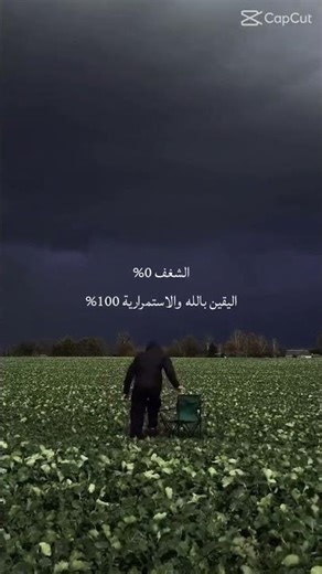 #هدوء #راحة_نفسية #الله 🤍🕊