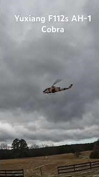 Yuxiang AH-1 Cobra tries manual high rate flight on a 25C weather and 11mph wind and gust of 25mph