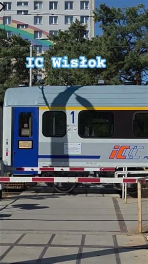 IC Wisłok Train#shortvideo #pkp #pkpintercity #ic #train #intercity #vehicle