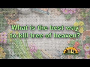 What is the best way to kill tree of heaven?