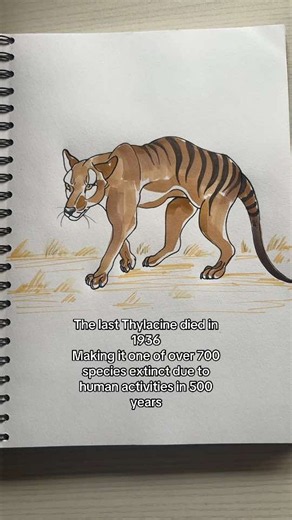 Thylacine facts: history, extinction, and why it matters