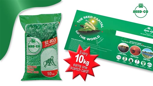 45 reactions | Purchase 10kg seed online or at any registered retail outlet, check your scratchcard and you could be a winner! | SeedCo | Facebook