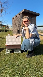 The Guinea Pig Village is back! 🐹❤️🙌🏻 Go check it out at Jimmy's Farm & Wildlife Park a fun filled day out for all the family! 😁🫶 #jimmysfarm #guineapigvillage #guineapigs | HayPigs