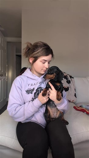 heavy on her being over dramatic btw she has me scared thinking the cops are gunna show up with PETA every time i vaccum #miniaturedachshund