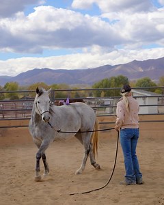 Colorado Horse Rescue on Reels