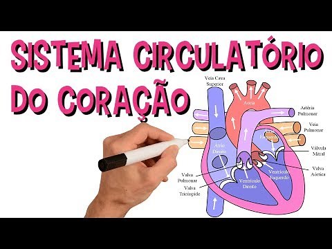 ✅ SISTEMA CARDIOVASCULAR | SISTEMA CIRCULATÓRIO DO CORAÇÃO