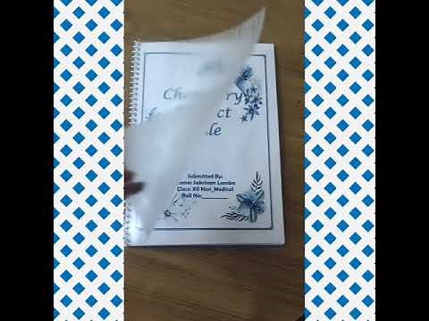 Chemistry Project File for Class 12 Non-Medical (Topic: Electrochemical Cell)