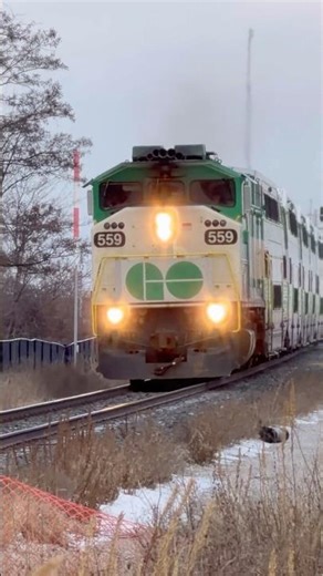 Fast F59PH 559 with a friendly crew on 6312 #railfanning #gotrain #gotransit #shorts #train