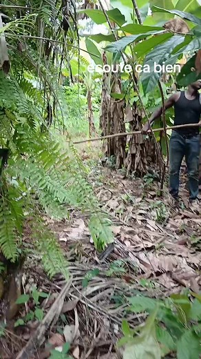 Écoute ça bien — Les vrais amit : comment trouver & écouter