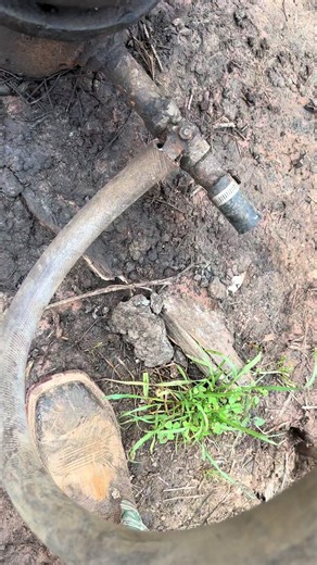 Understanding Well Success in Oil Exploration